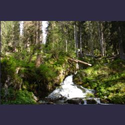 2007-05_08Wasseralm (011).JPG
